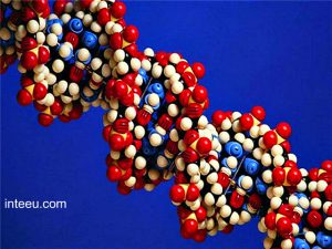 inteeu-compostgenomnaya-era-chelovechestva